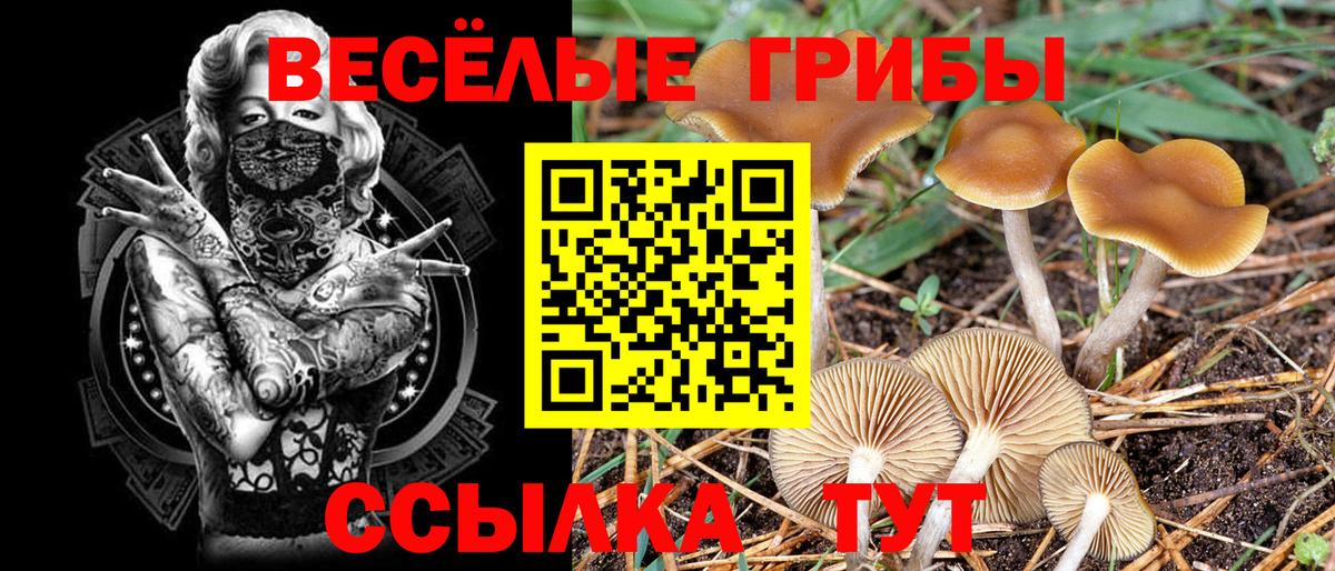 Лесной  Галлюциногенные грибы ЛСД  Вход с VPN  Псилоцибиновые грибы ЛСД 