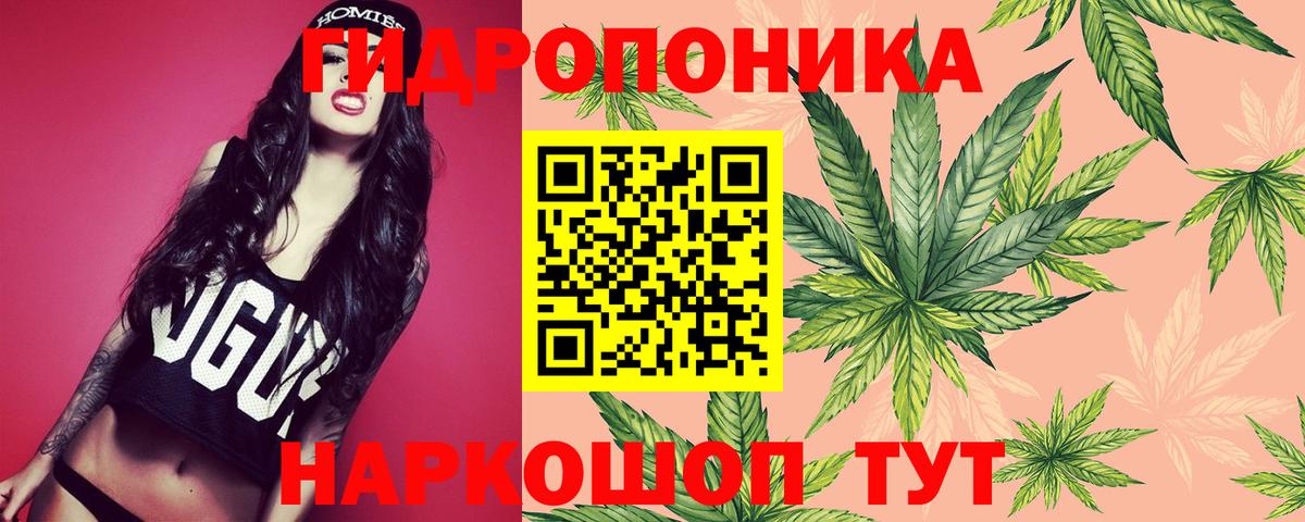 Канабис AK-47  Вход с VPN  Шишки марихуана сатива  Конопля сатива  Лесной 